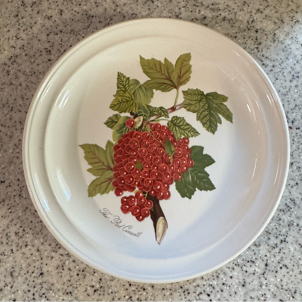 Portmeirion Pomona “The Red Currant” 10.5” Dinner Plate – Vintage England